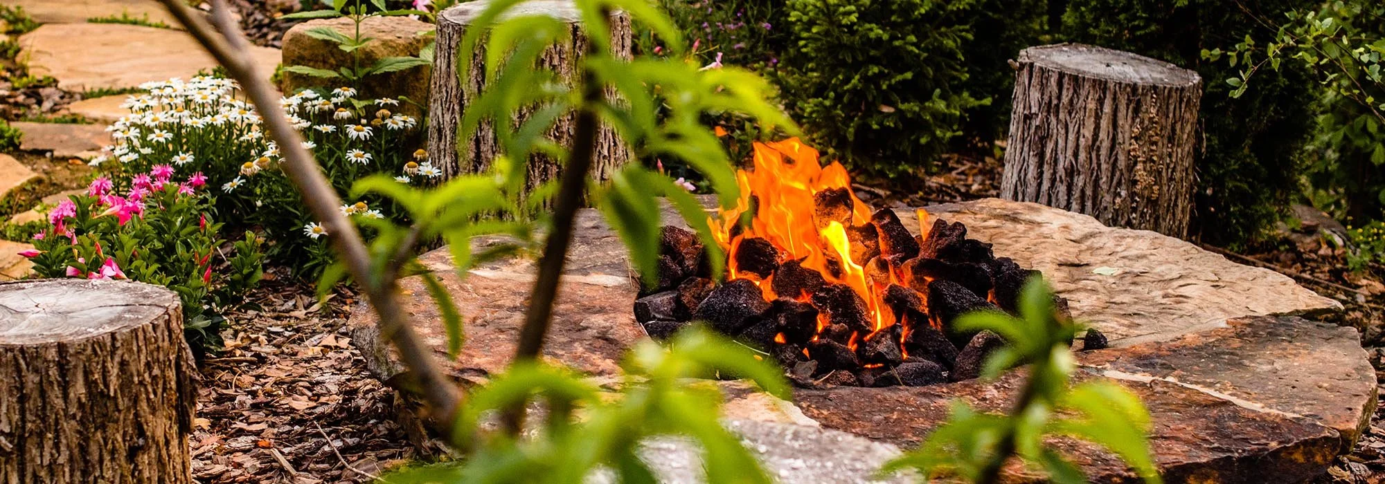 A garden fire pit surrounded by flowers and tree stumps, with burning logs inside the pit.