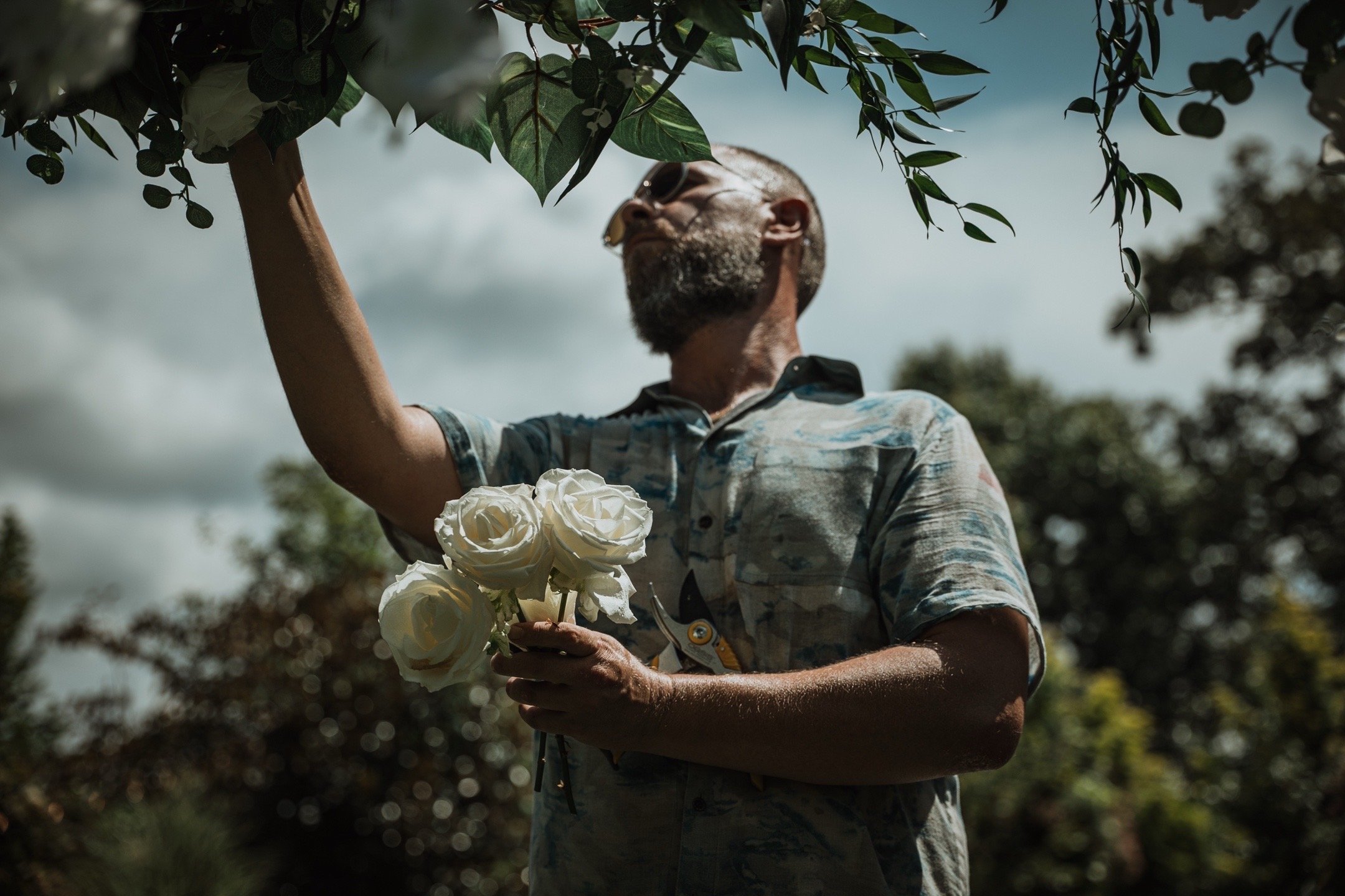 Josh Samples reaching up to pick white roses from a bush while holding a small bouquet of the flowers. The background features trees and a cloudy sky.