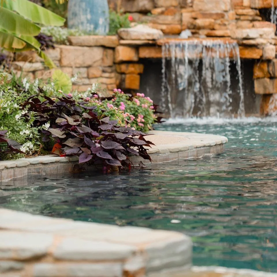 A backyard swimming pool with a stone waterfall feature, surrounded by various green and purple plants and flowers.