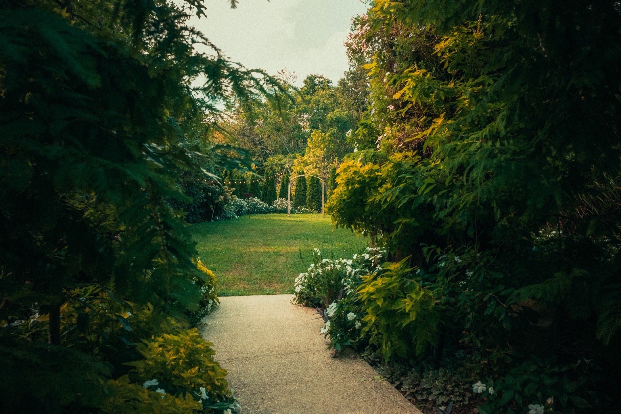 A garden with a stone pathway leading to a grassy area surrounded by lush green trees and flowering shrubs with string lights overhead.