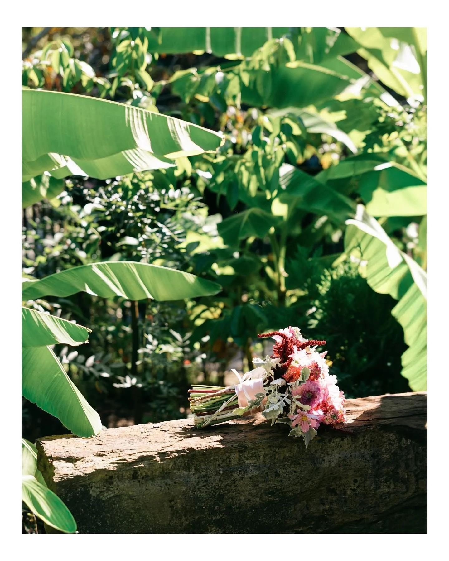 A bouquet of pink, white, and red flowers resting on a wooden log in a lush green outdoor setting.