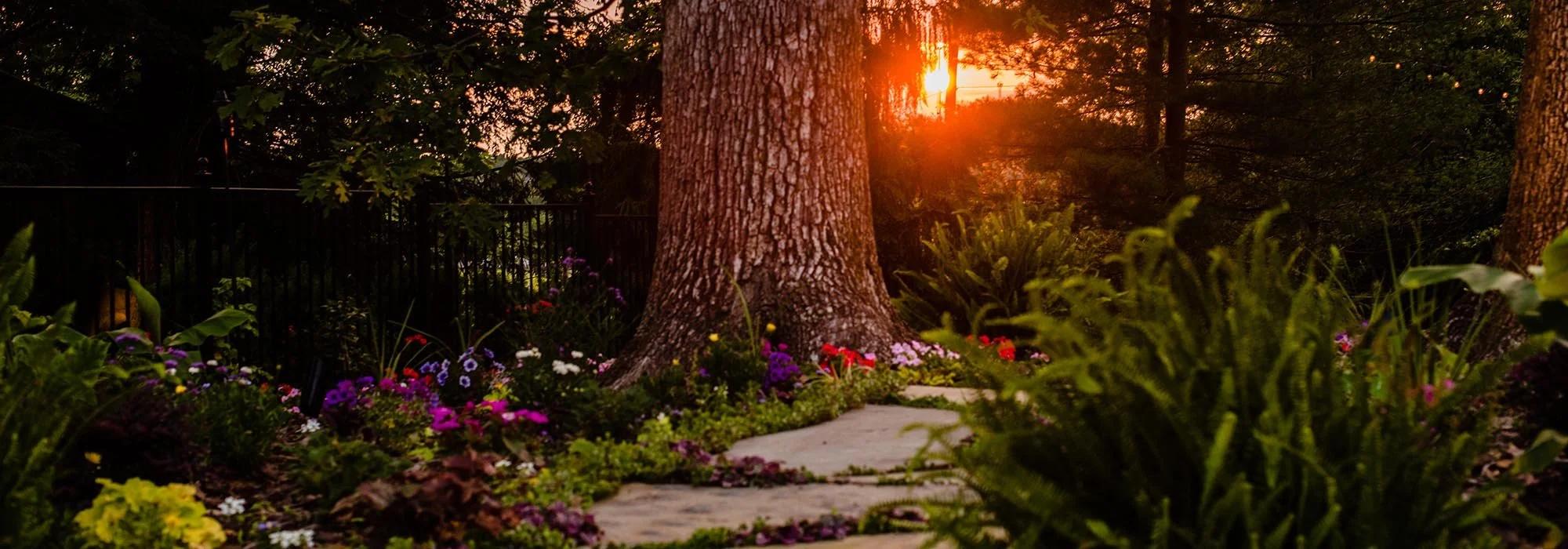 Sunset over a garden with large trees, colorful flowers, and a stone pathway.