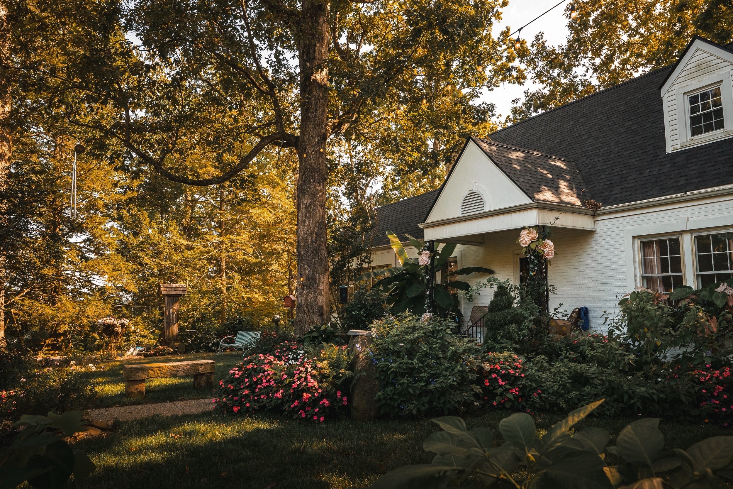 A cozy white house with a black roof, surrounded by lush greenery and blooming flowers in a garden at sunset.