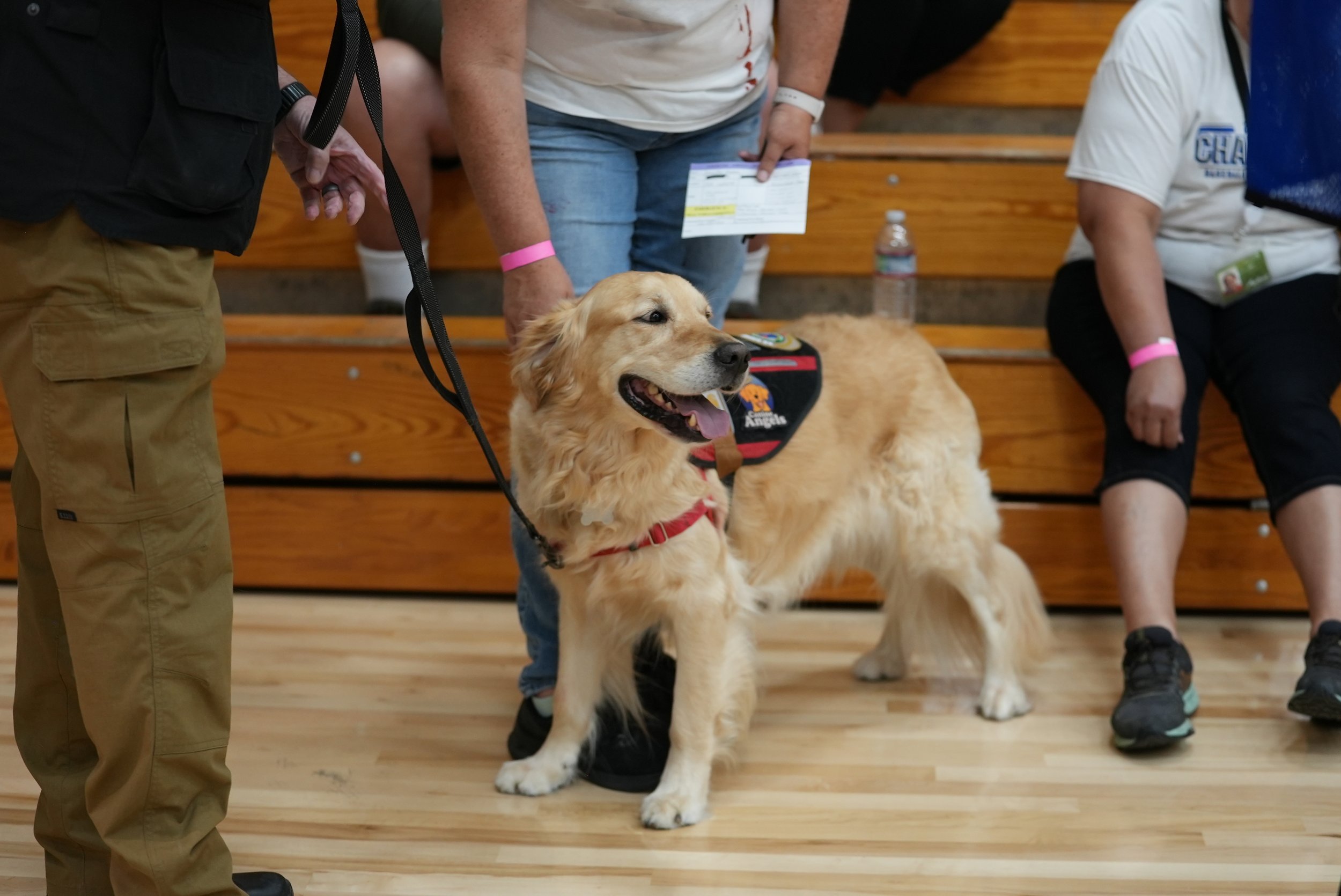 A golden retriever service dog with a red harness, sitting on a wooden floor and smiling, surrounded by people at an indoor event.