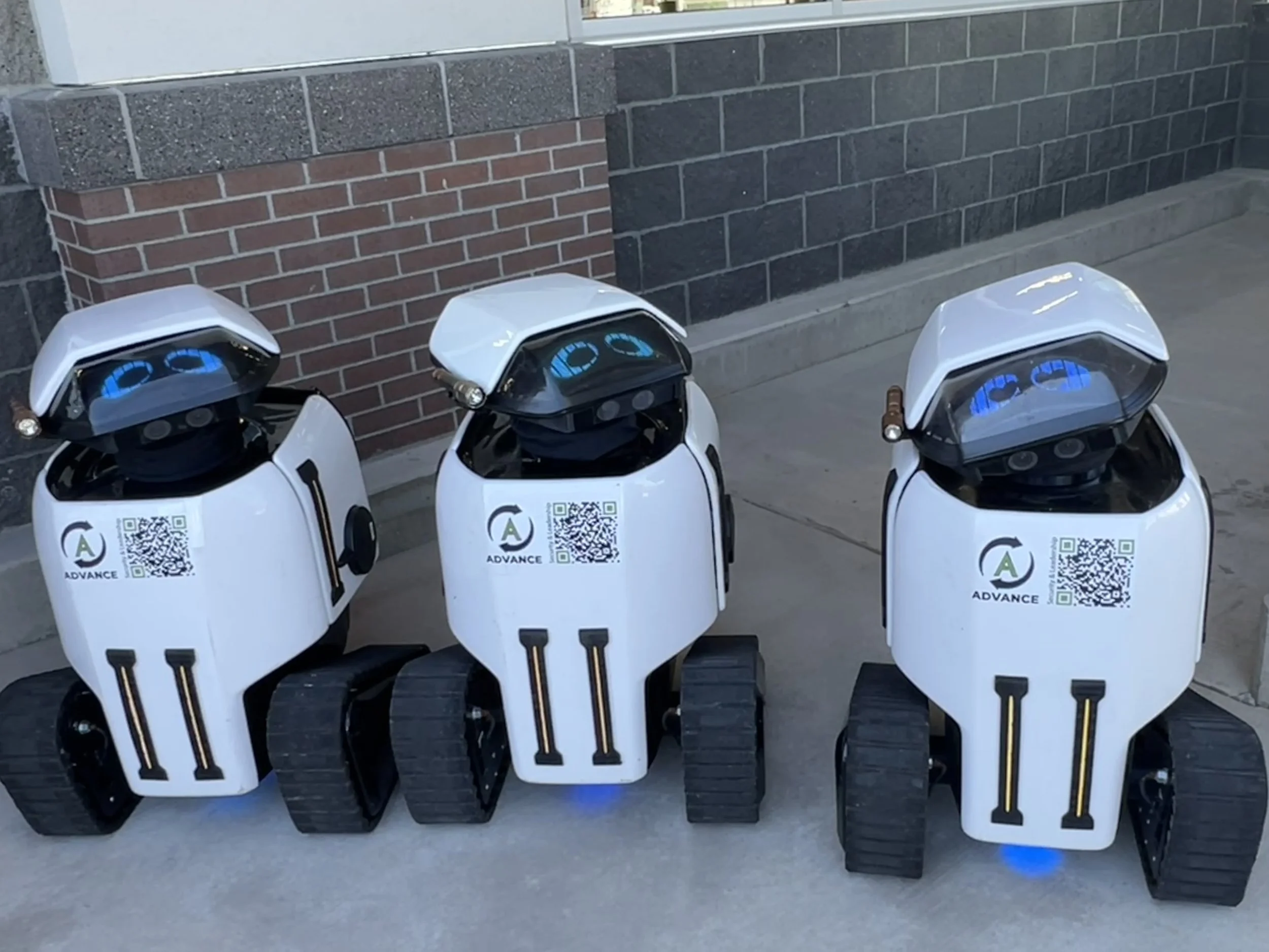 Robot Security Guards