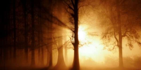 Beating depression and anxiety: Martin’s journey from darkness to light