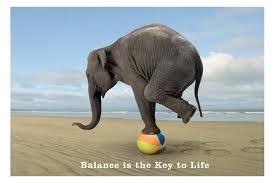 TM Brings Balance To My Mental Health