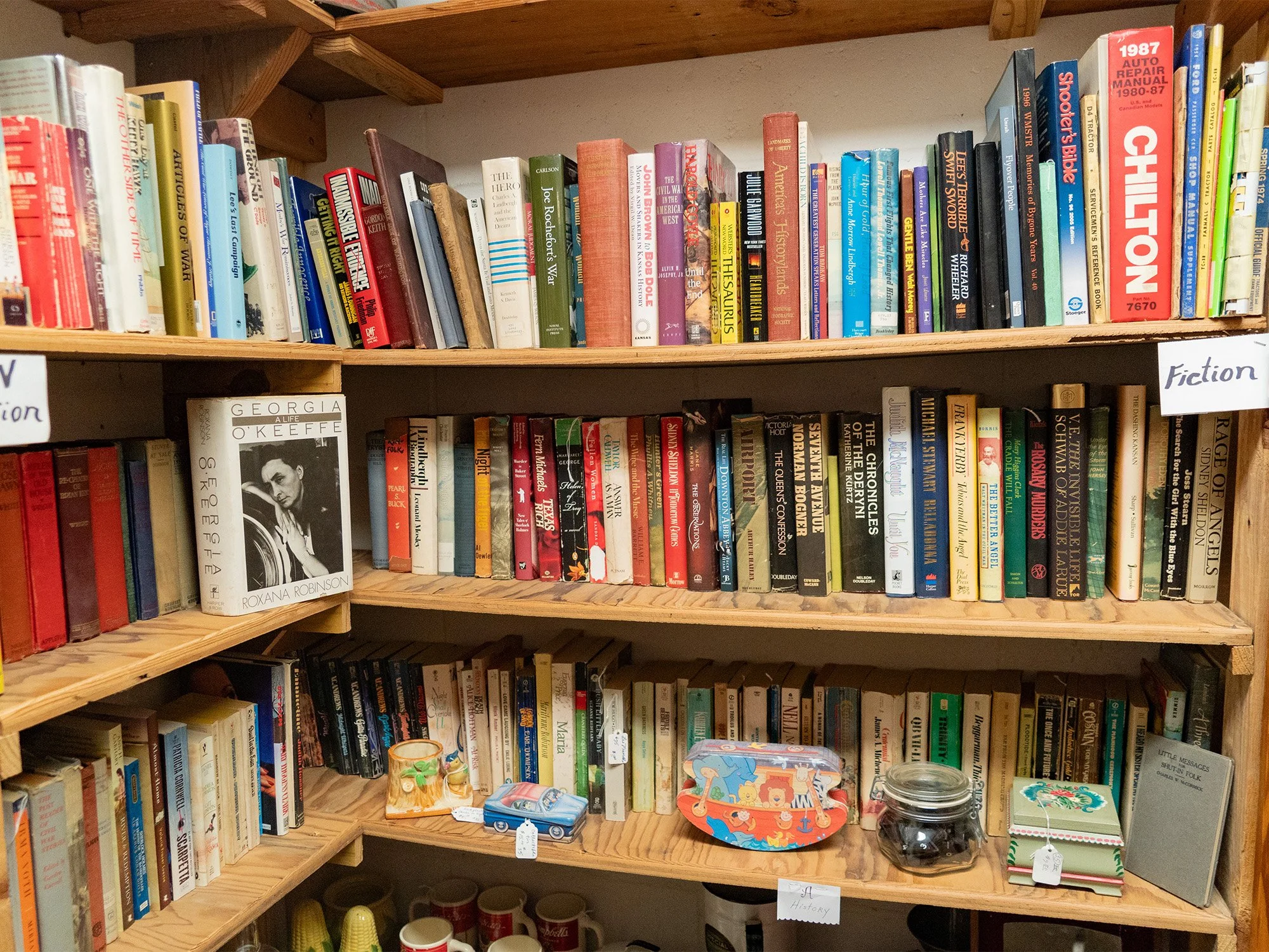 Bookshelves filled with various books, a photo of a woman on a book cover, a small decorative boat, a jar with black items, and a stack of small boxes; organized with signs labeled "Fiction" and "History".