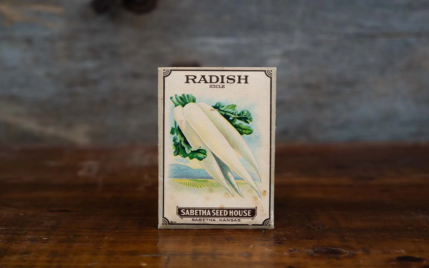 radish seeds.jpg