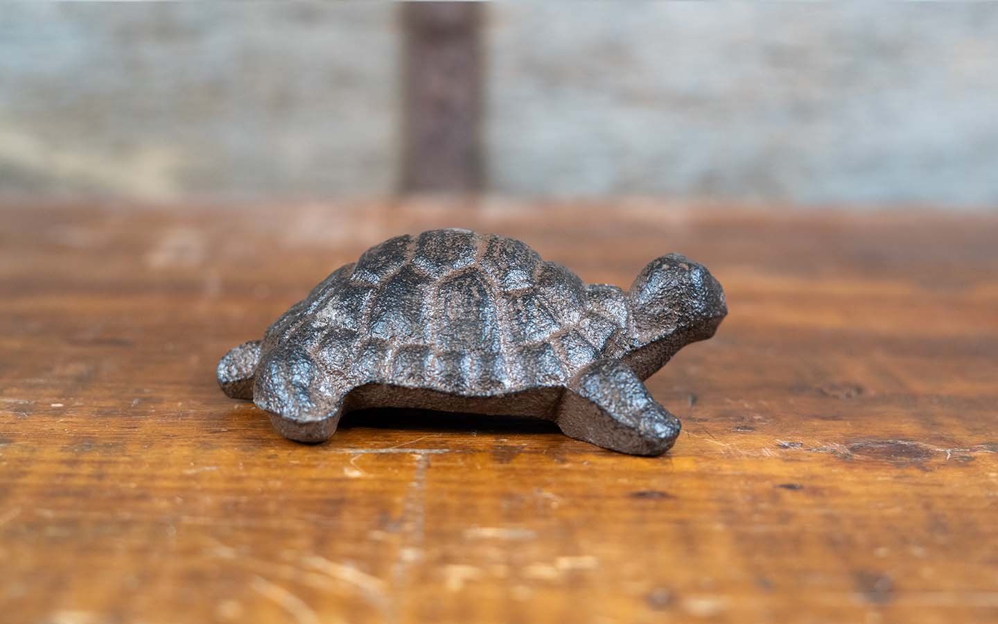 cast iron turtle.jpg