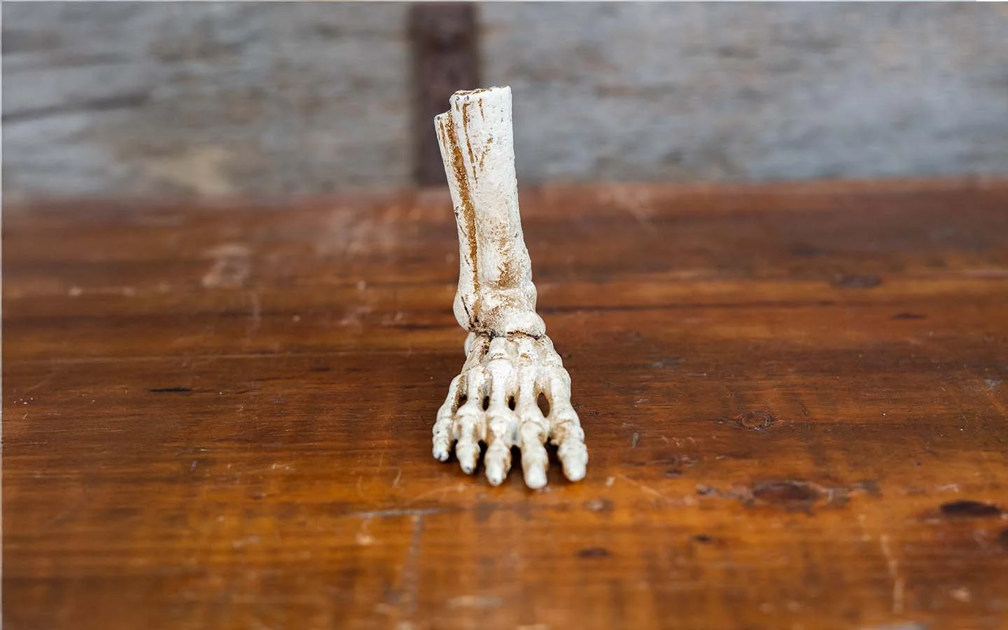 Captivating Cast Iron Skeleton Foot