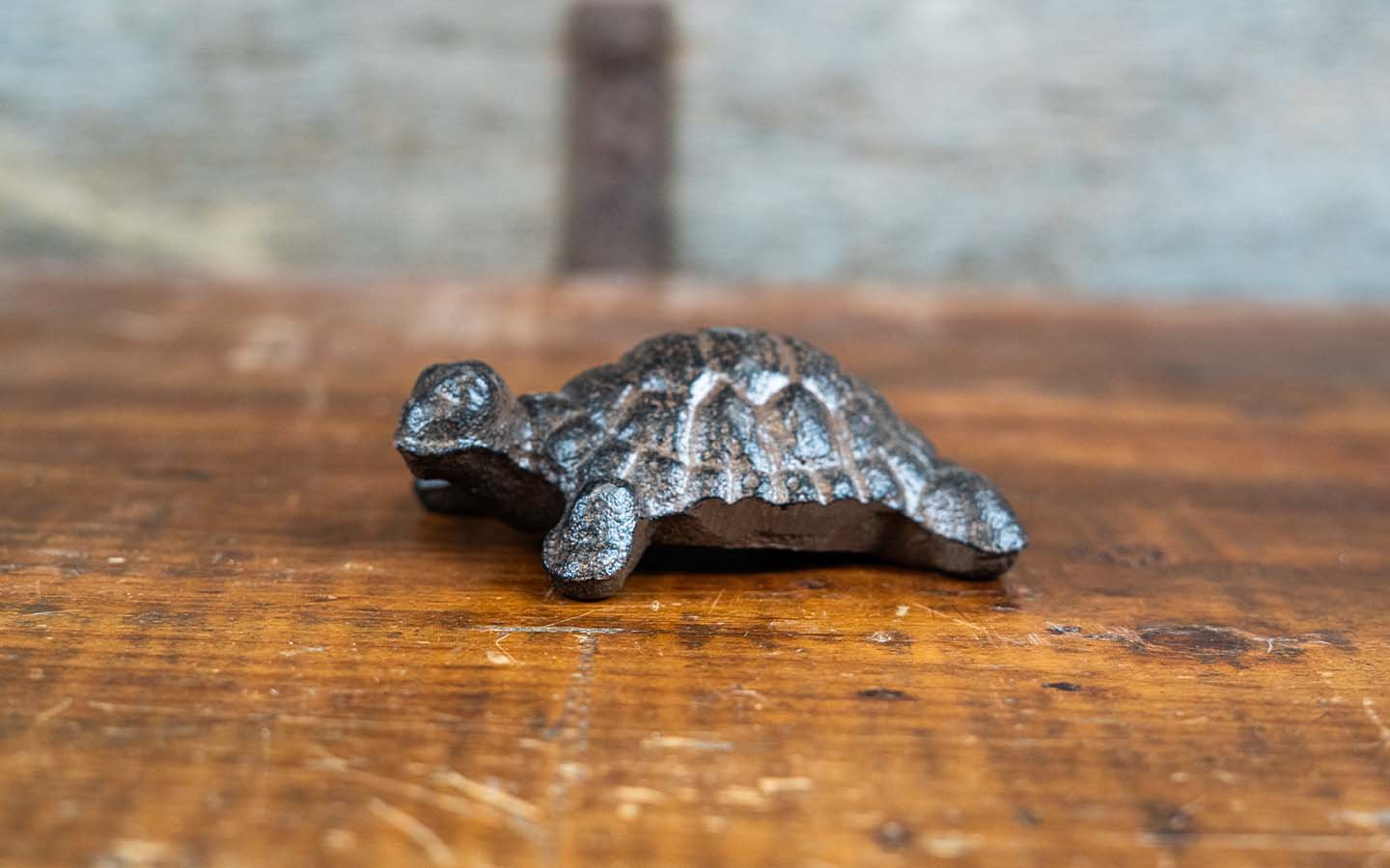 Whimsical Cast Iron Turtle