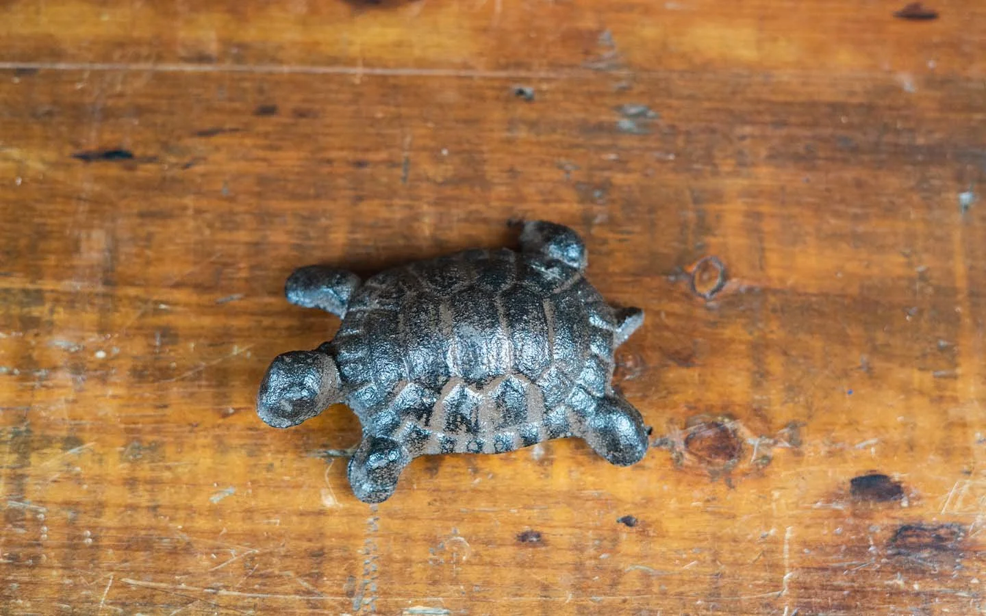 cast iron turtle3.jpg