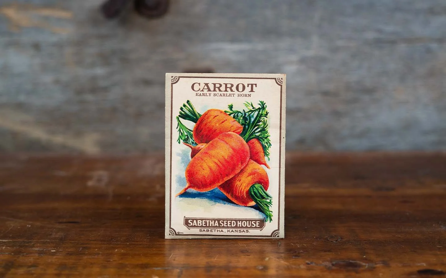 carrot seeds.jpg