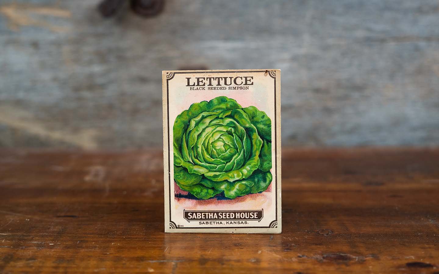 lettuce seeds.jpg