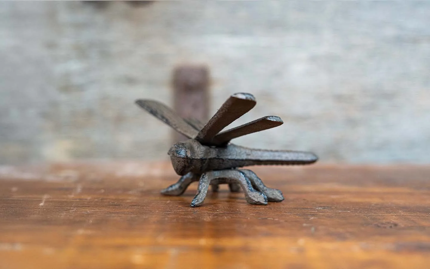 cast iron dragonfly3.jpg