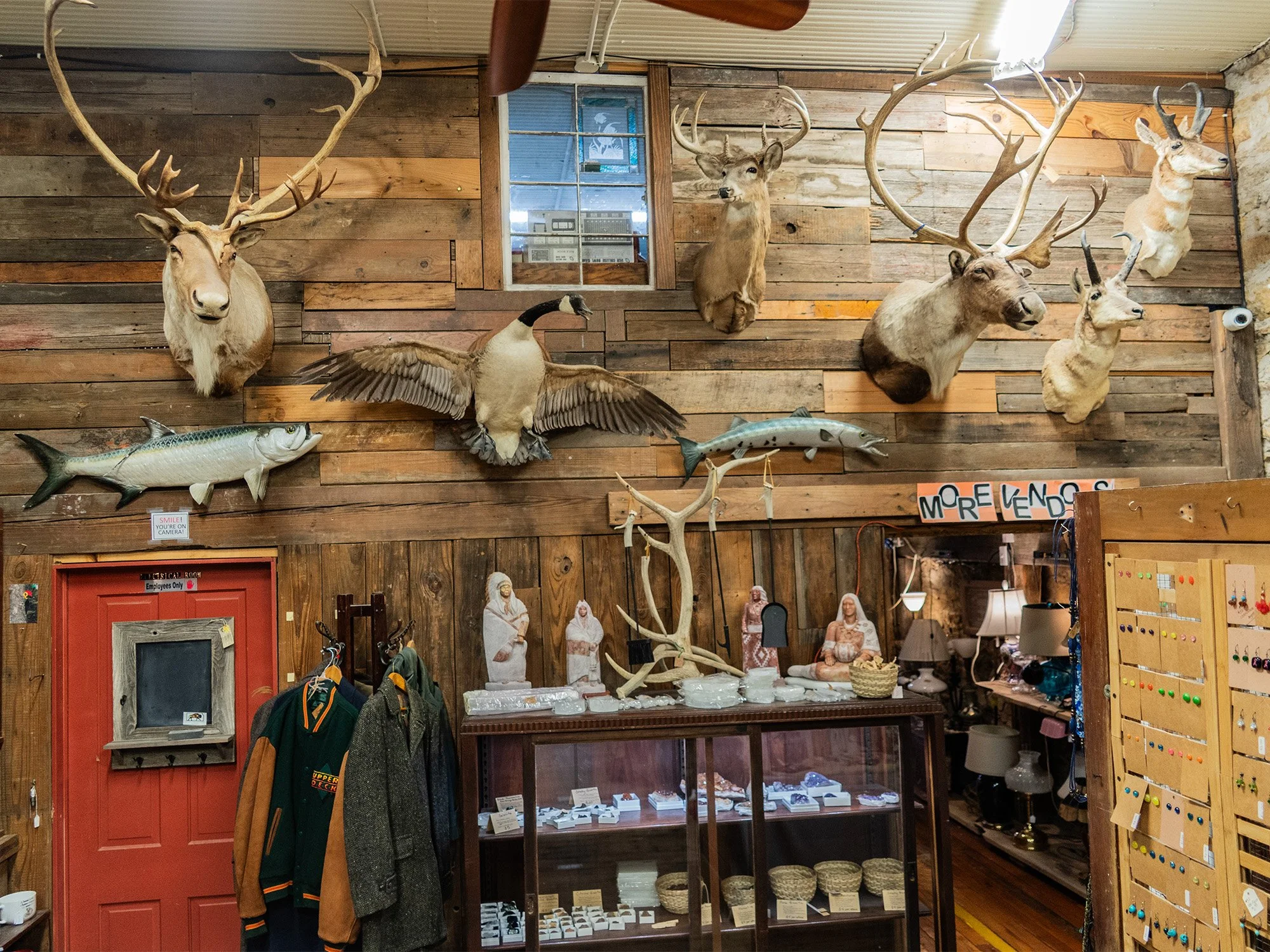 Interior of a store with mounted animal heads on wood-paneled wall, including deer and elk, along with a mounted goose and fish, with shelves and displays of jewelry, figurines, and clothing.