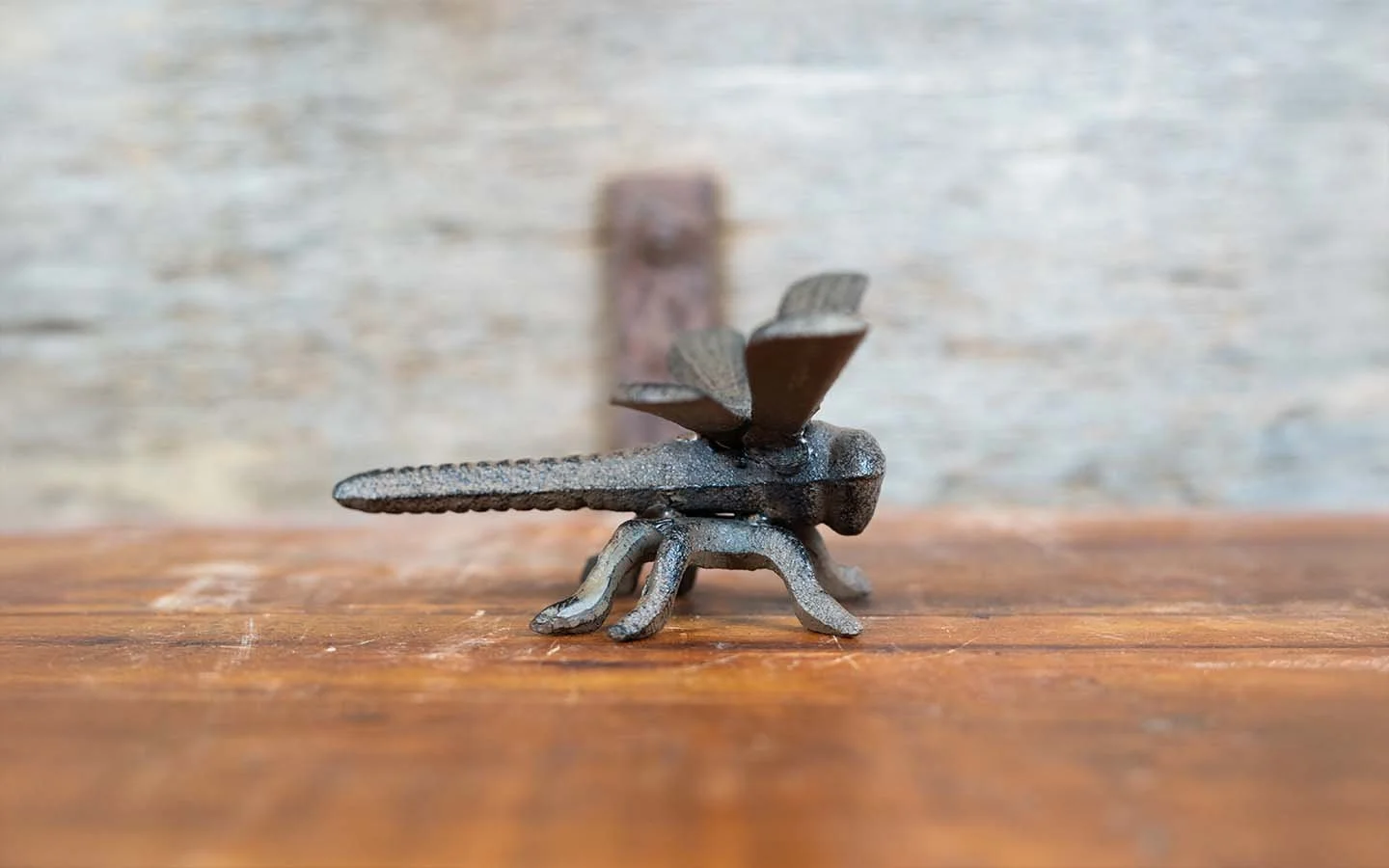 cast iron dragonfly.jpg