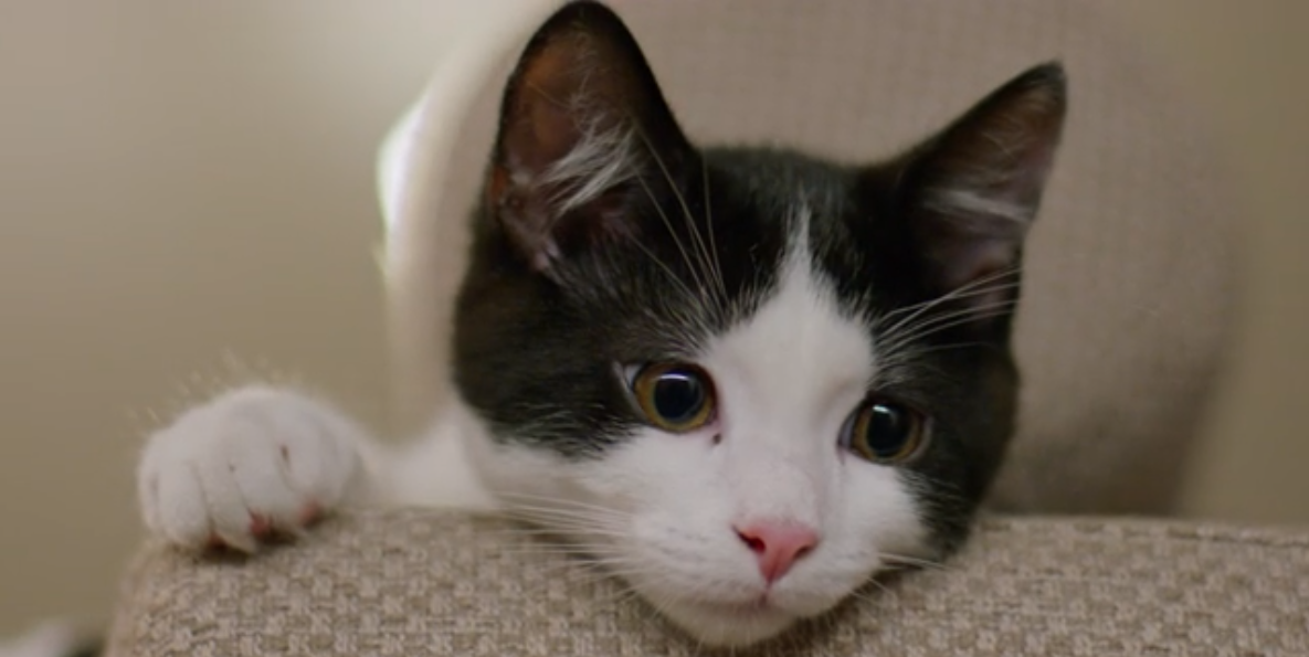 Screenshot 2025-11-27 at 9.09.55 AM.png