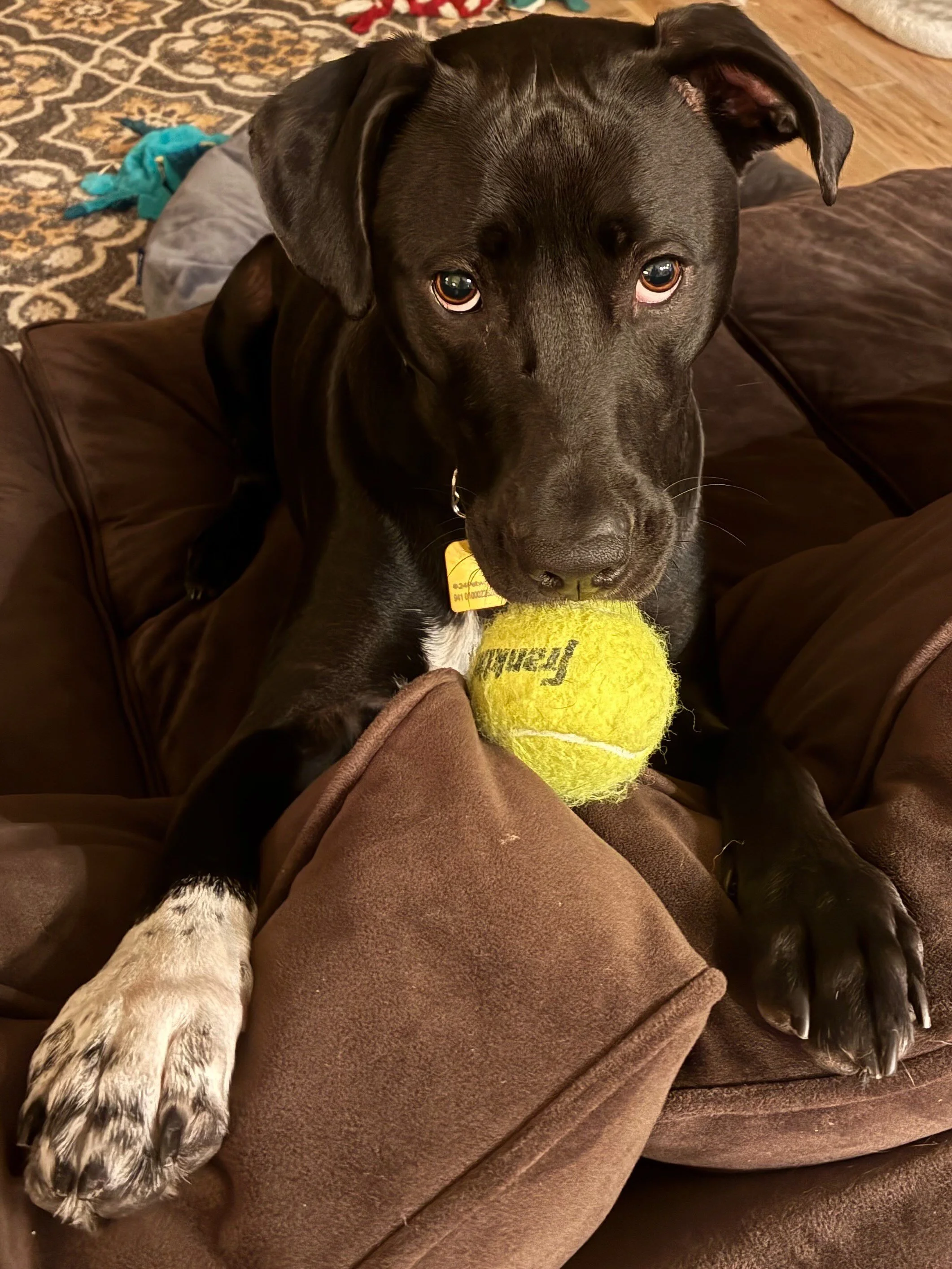 From Eeny to Everything: Mattie’s Story