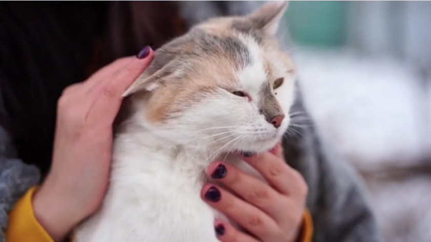 Screenshot 2025-12-05 at 10.49.30 AM.png