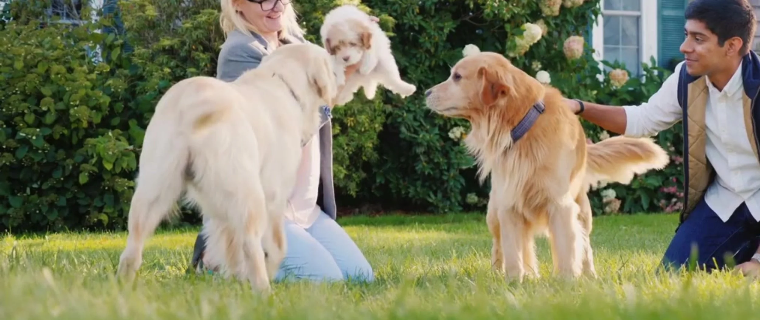 Stories_Fallback Image (1).jpg