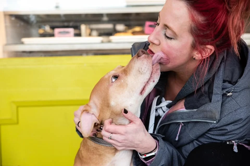 A woman with red hair kisses a large brown and white pitbull dog on the nose.