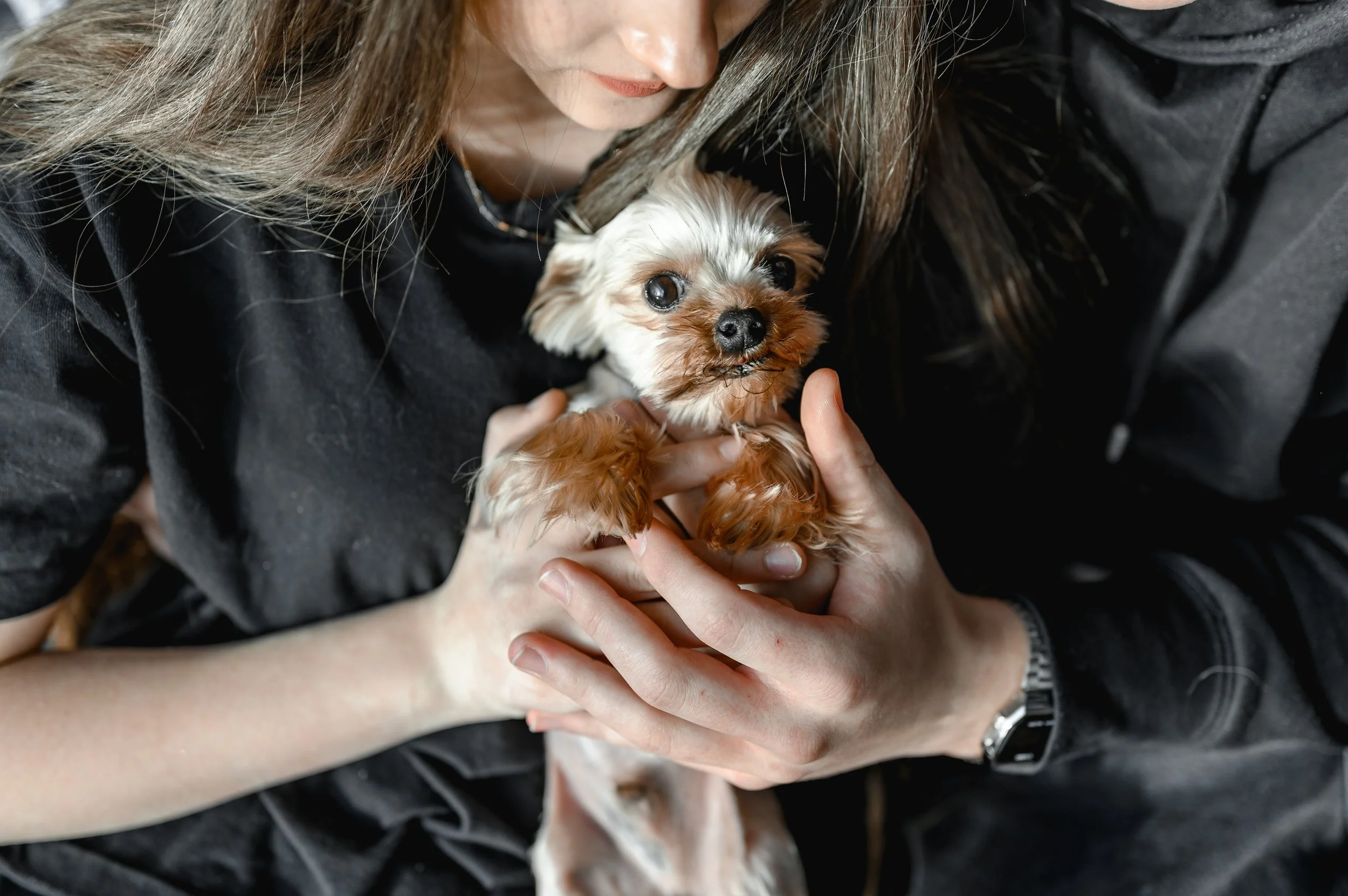 Person holding a small, light-colored dog with brown fur on face and paws, close to their chest, with a woman leaning over and touching the dog gently.