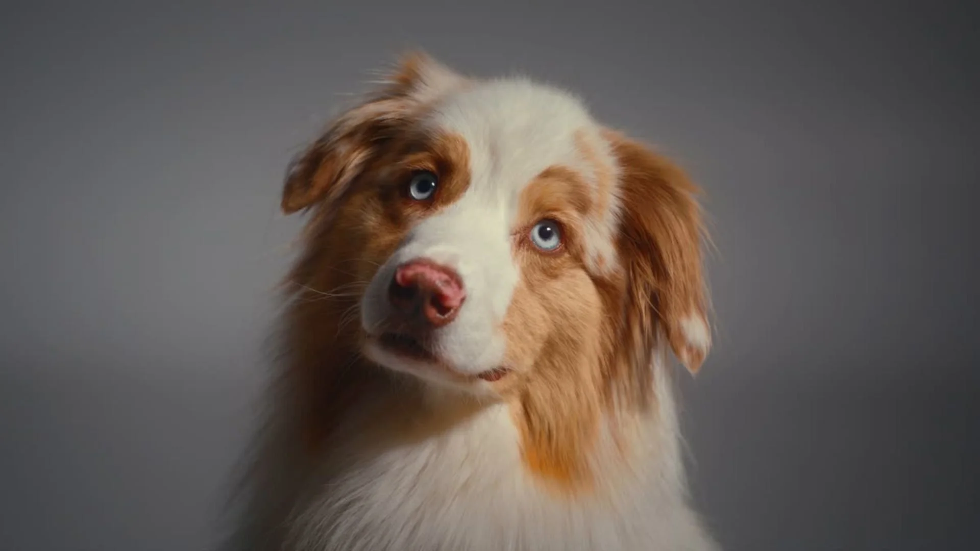 Untitled design (12).jpg