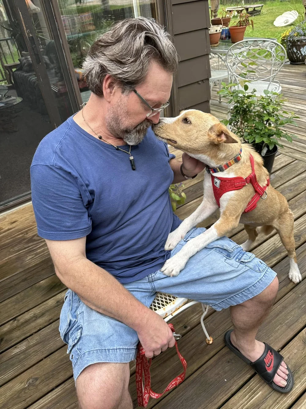 The Rescue Crew | Pet Adoption & Foster Rescue in Minnesota