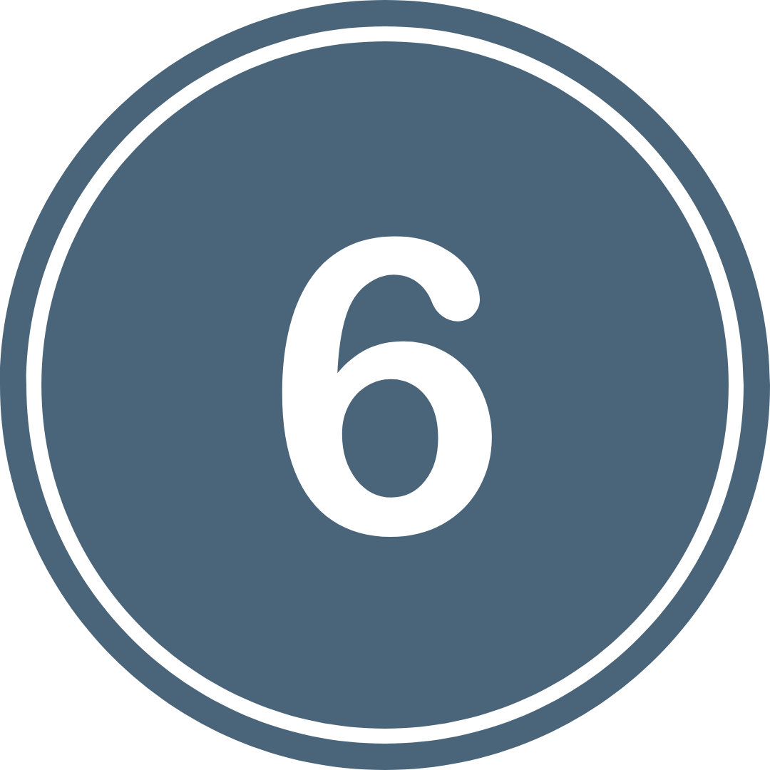 Number 6 inside a gray circle with a black border, symbolizing a level or step.