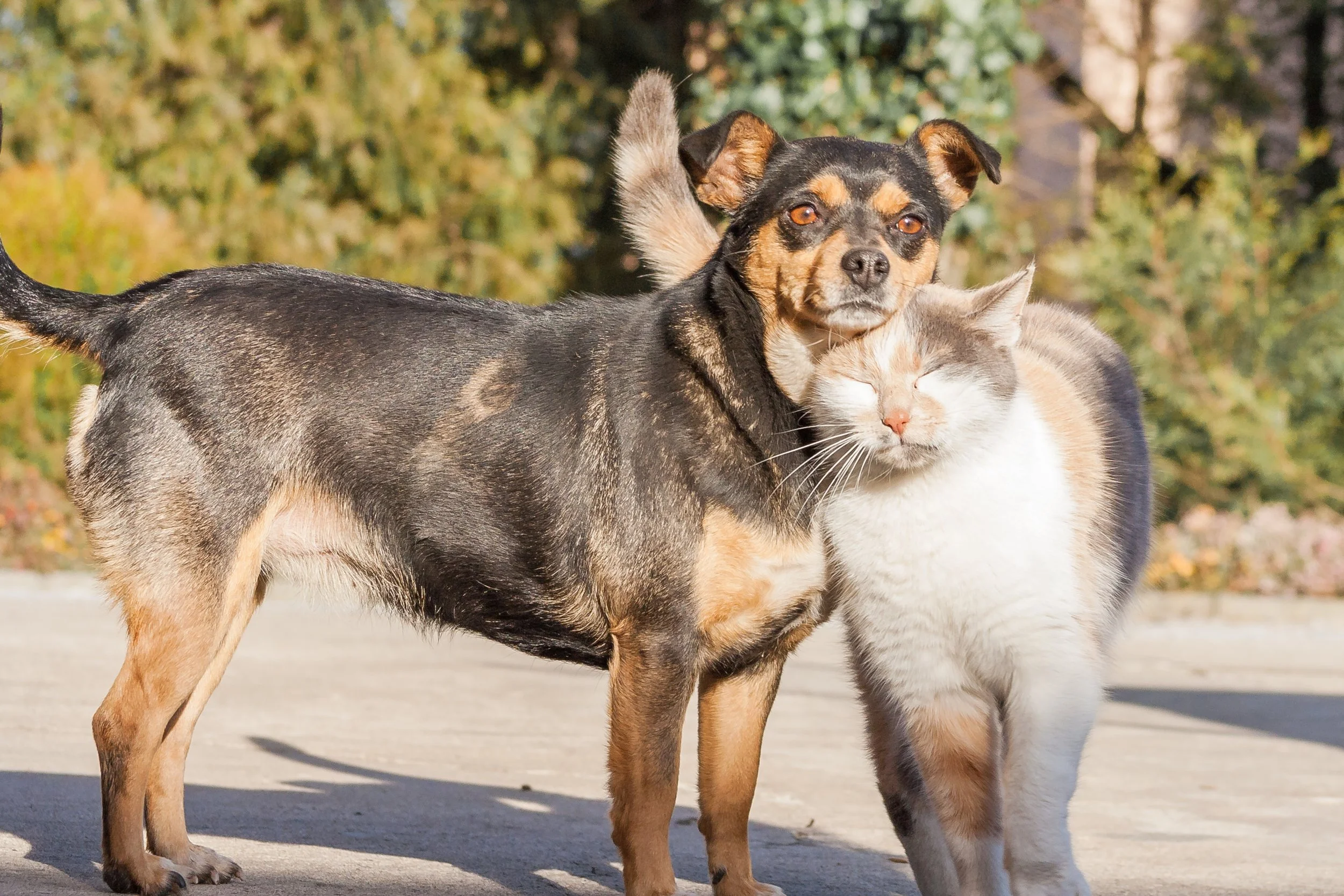 AdobeStock_248834992 (1) (3).jpeg