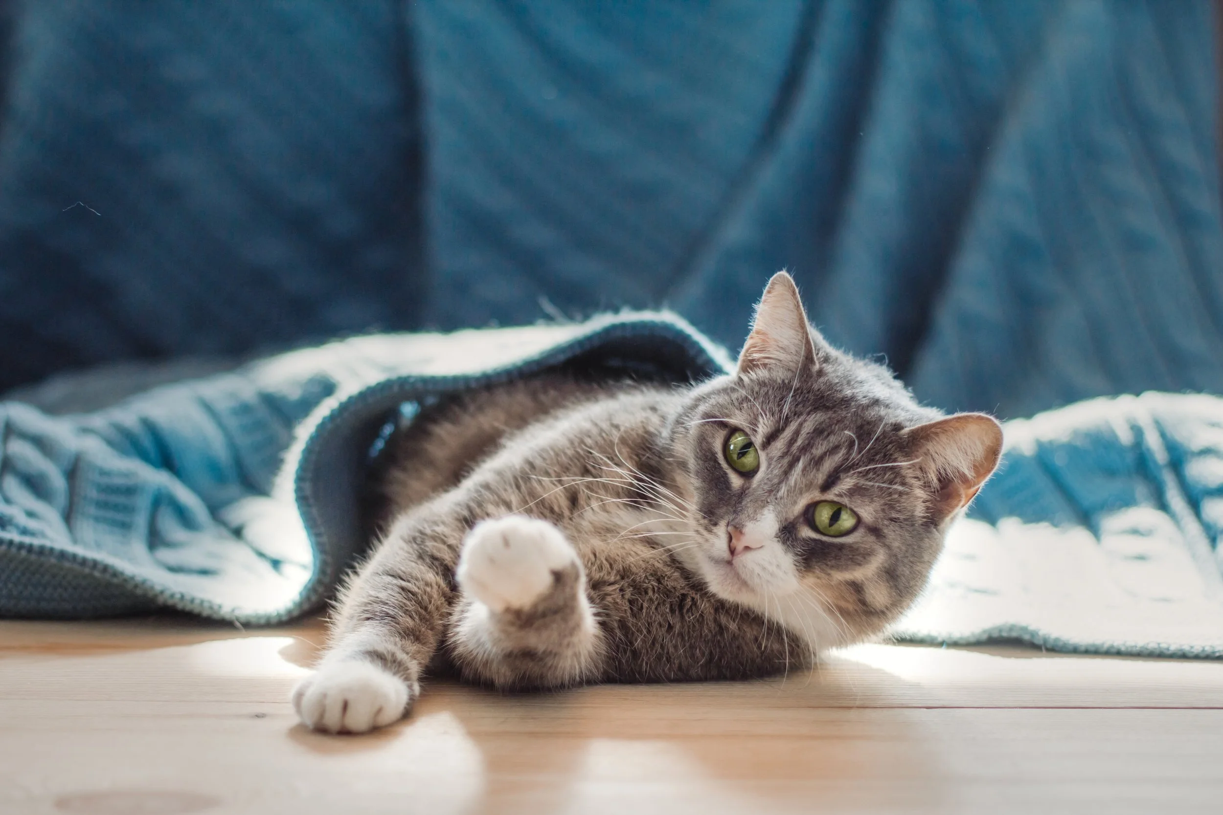 AdobeStock_426308482 (2).jpeg