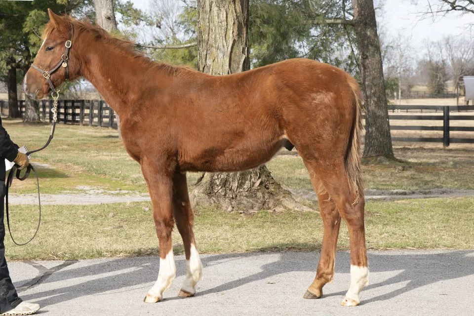 Secret Keeper X Not This Time