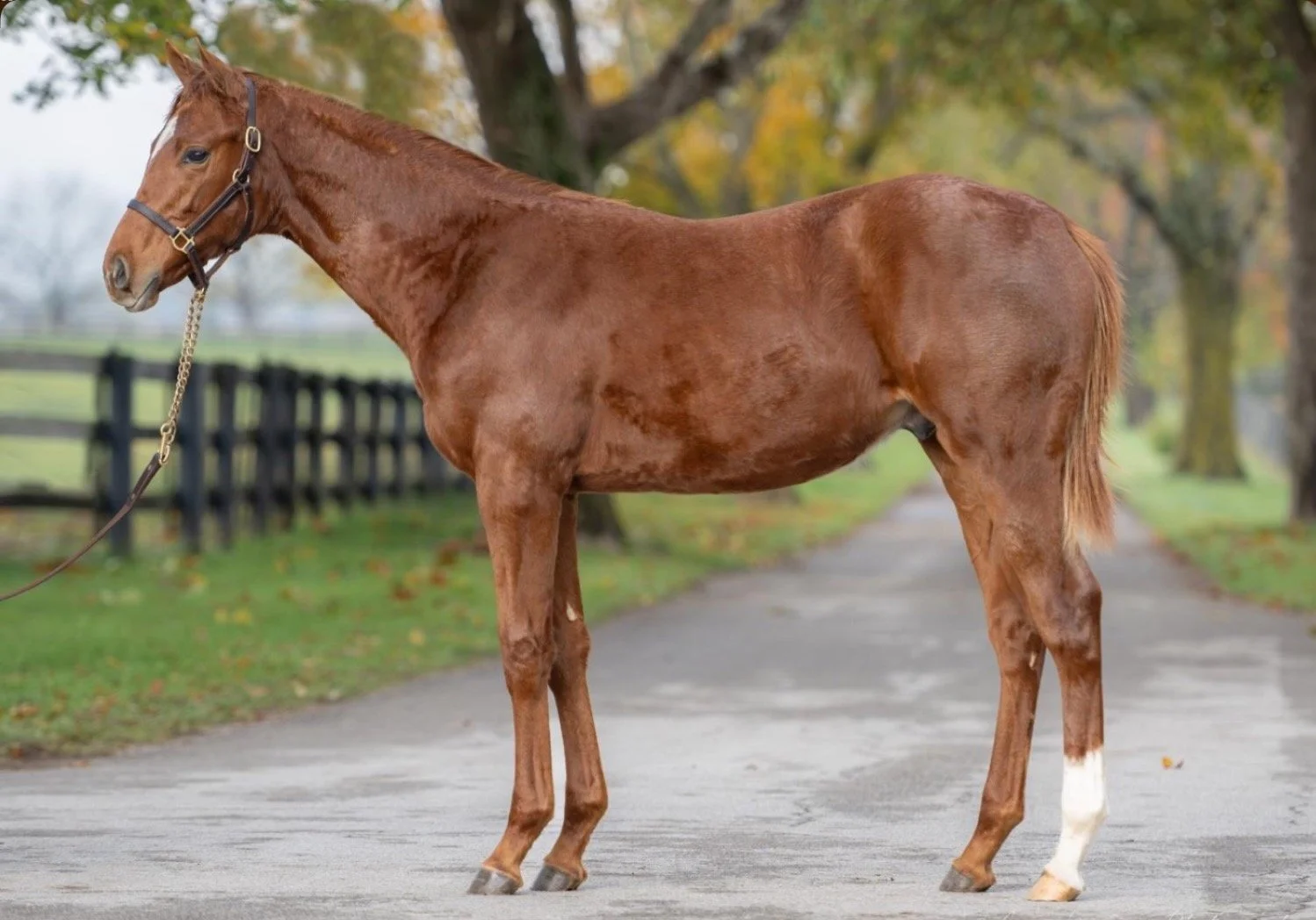 Screenshot 2025-11-05 at 7.54.38 PM.jpeg