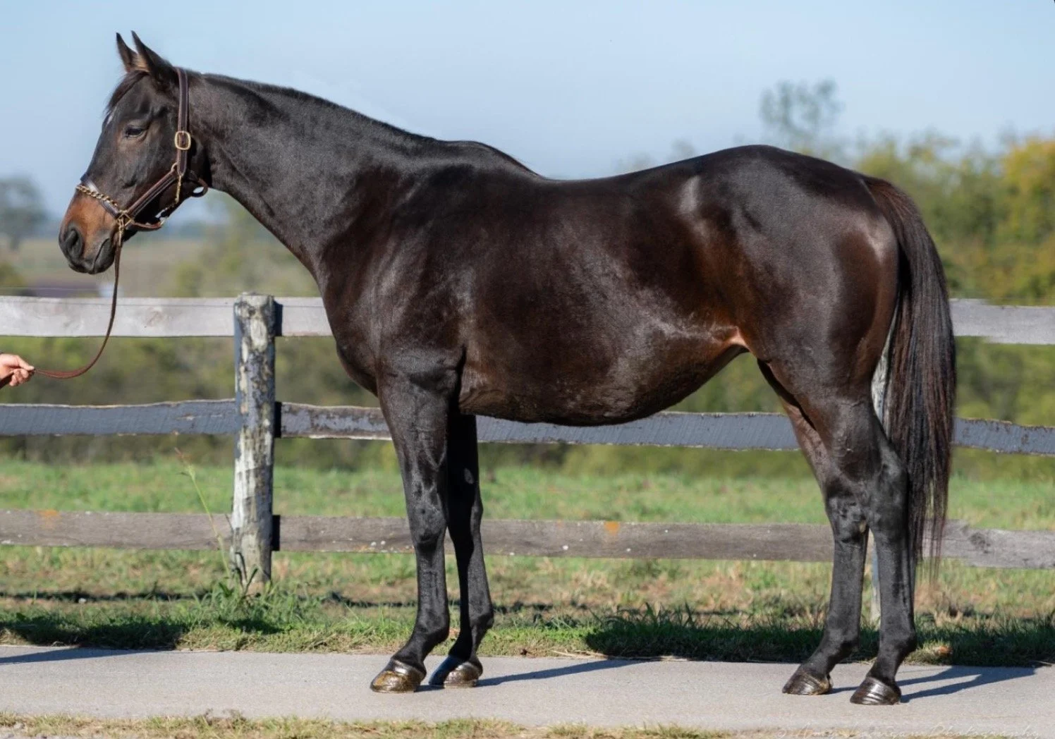 Screenshot 2025-11-05 at 7.52.34 PM.jpeg