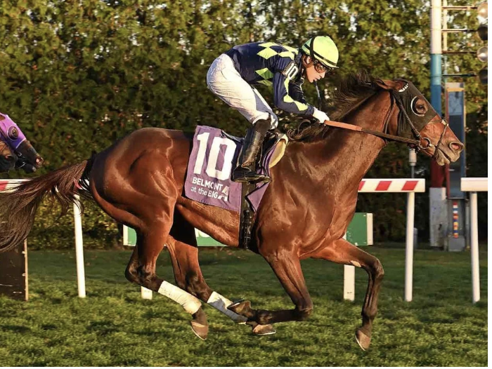 The Year in Racing for Tranquility Lake Farms