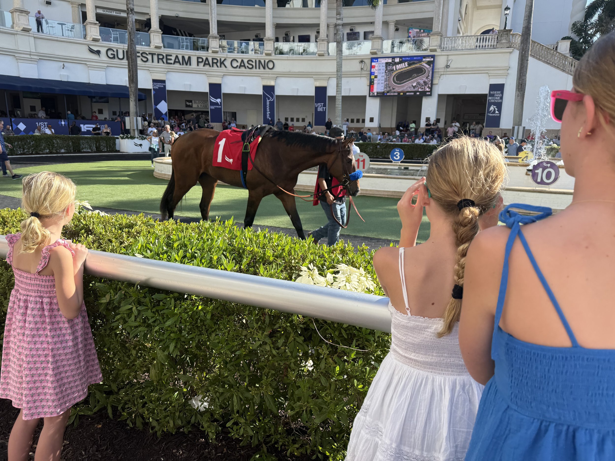 2026: The Year of the Horse