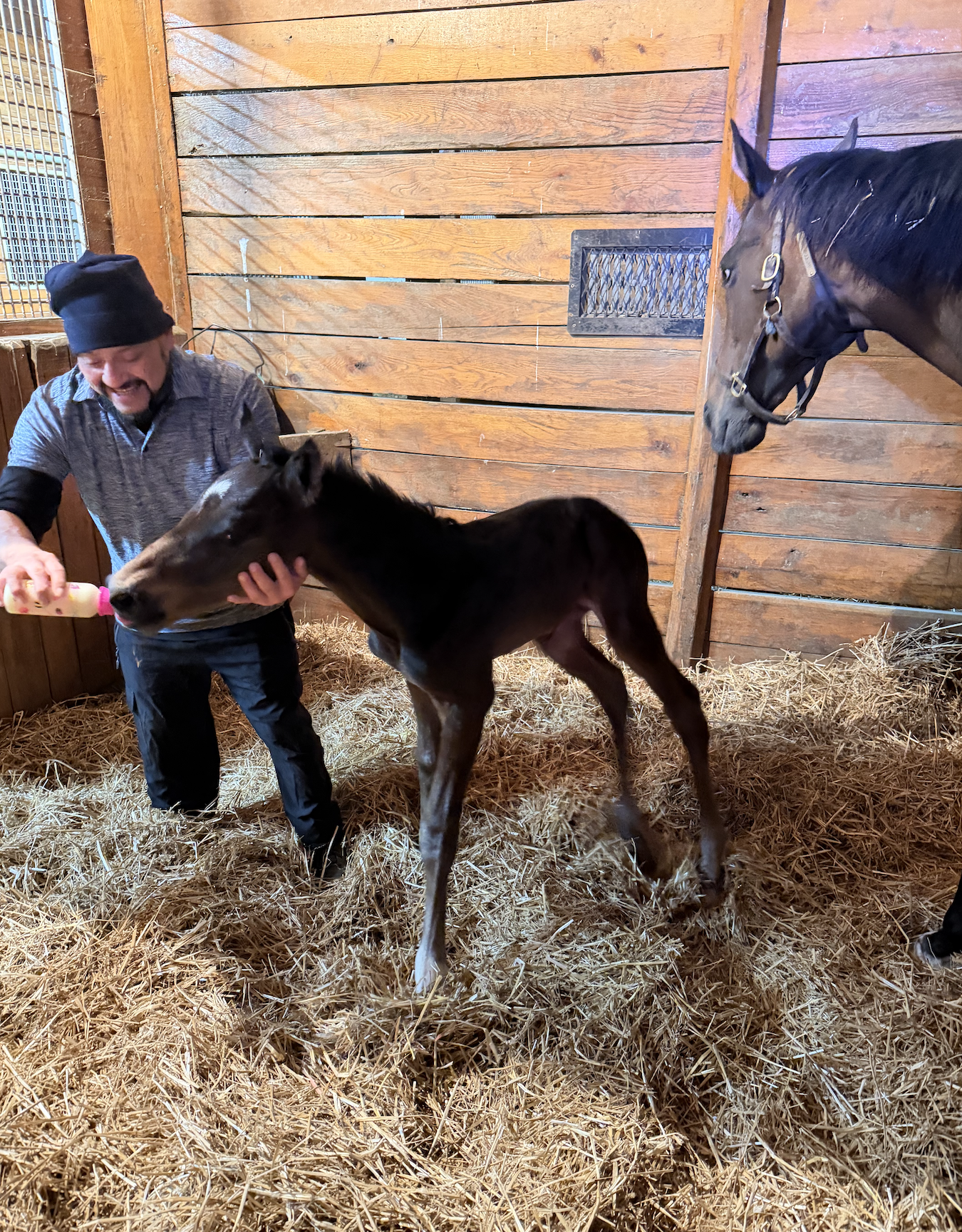 Sweet Bliss x Up to the Mark 2026