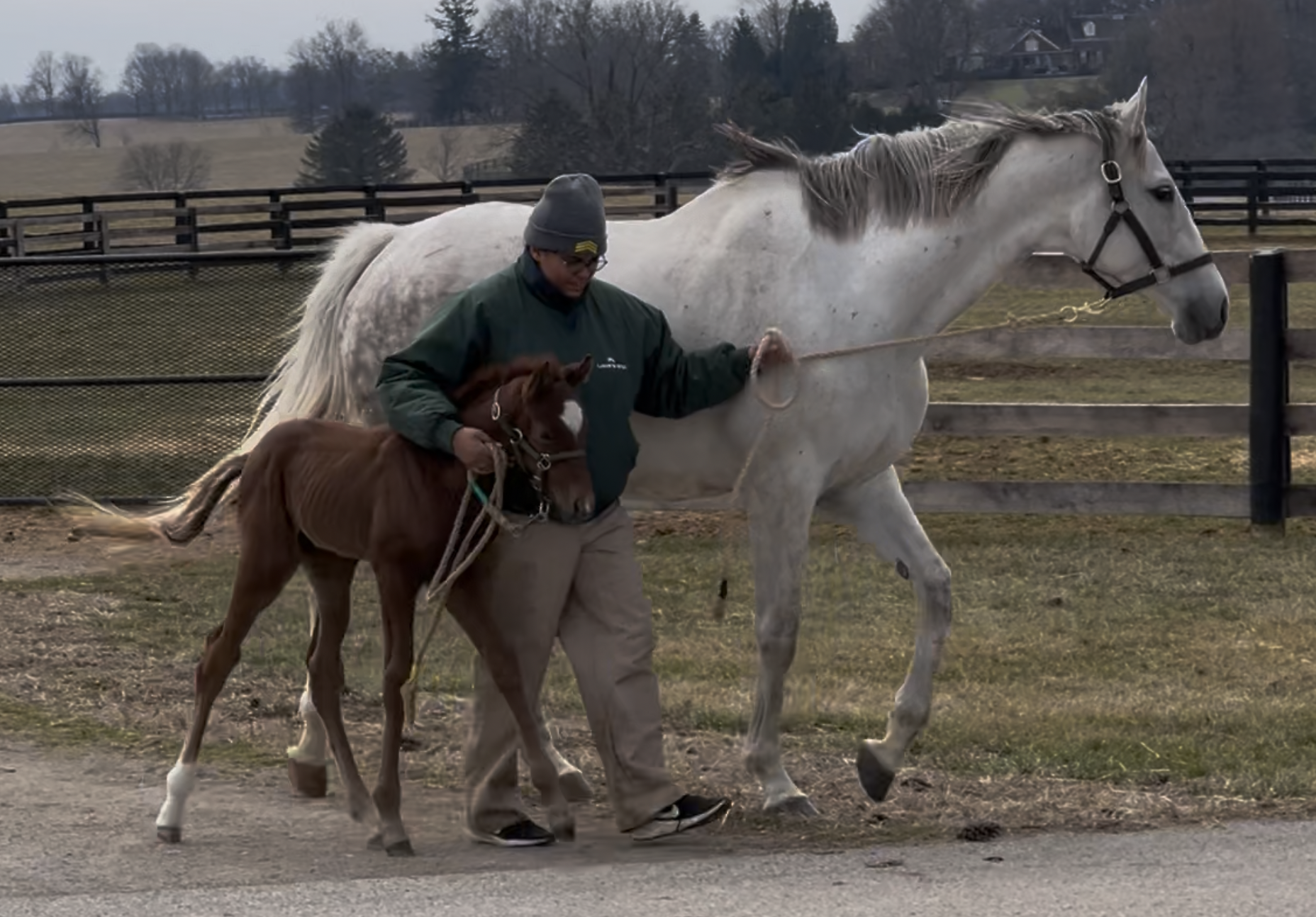 Ilsa x Munnings 2026 