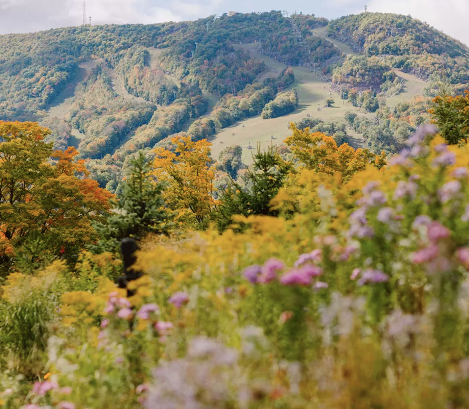 A scenic view of a mountain landscape with colorful autumn trees in the foreground and ski slopes on the mountain.