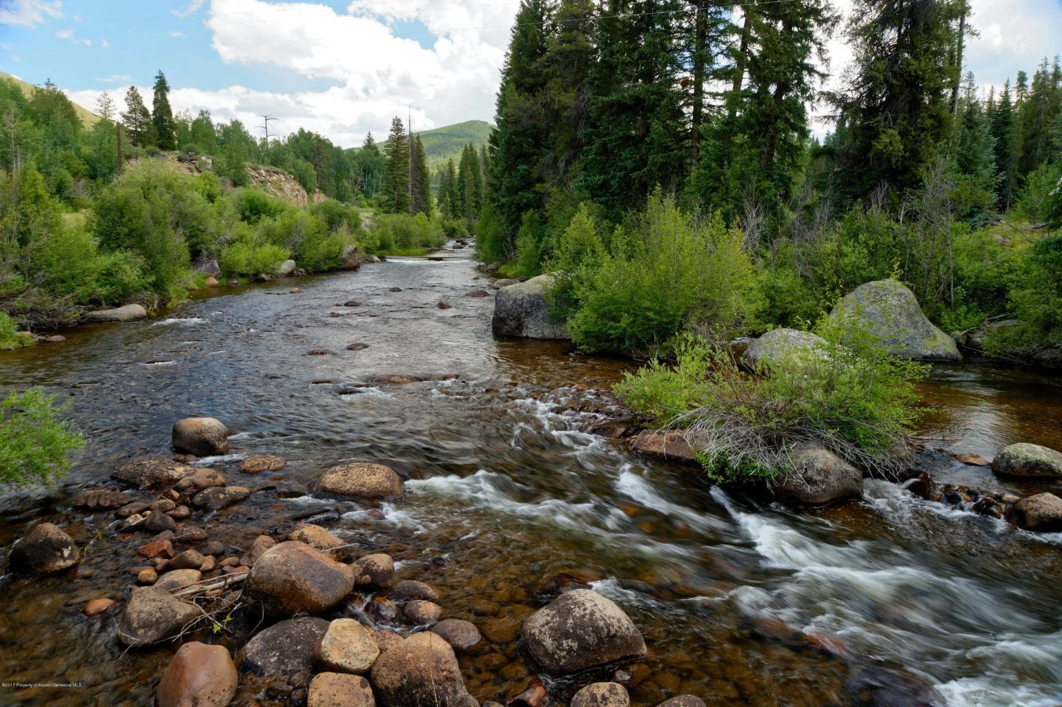 A river flowing through a lush green forest with trees and mountains in the background.