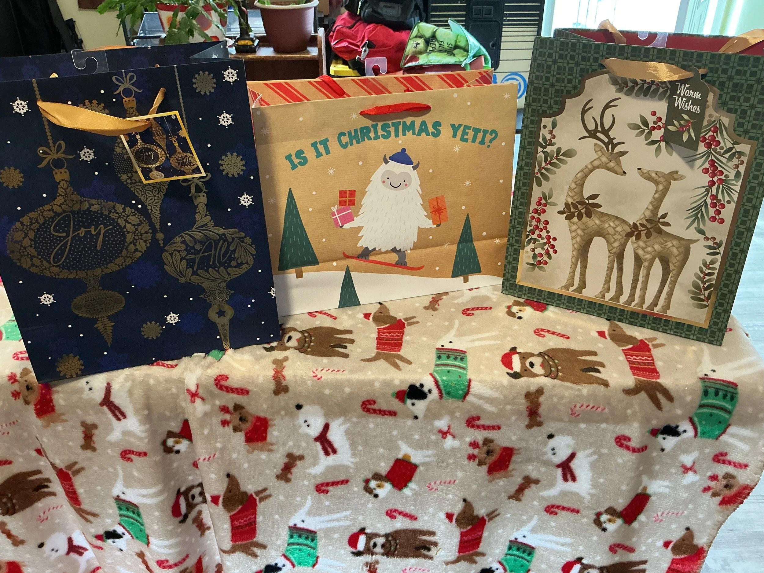 Christmas Mystery Bag