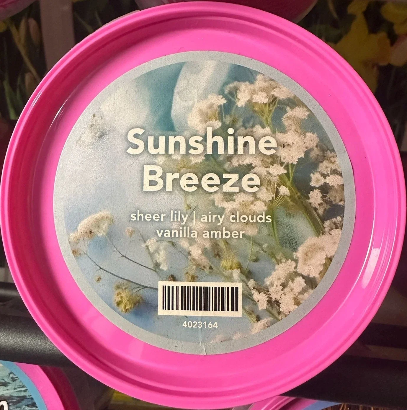 Sunshine Breeze Wax Melt Sprinkles