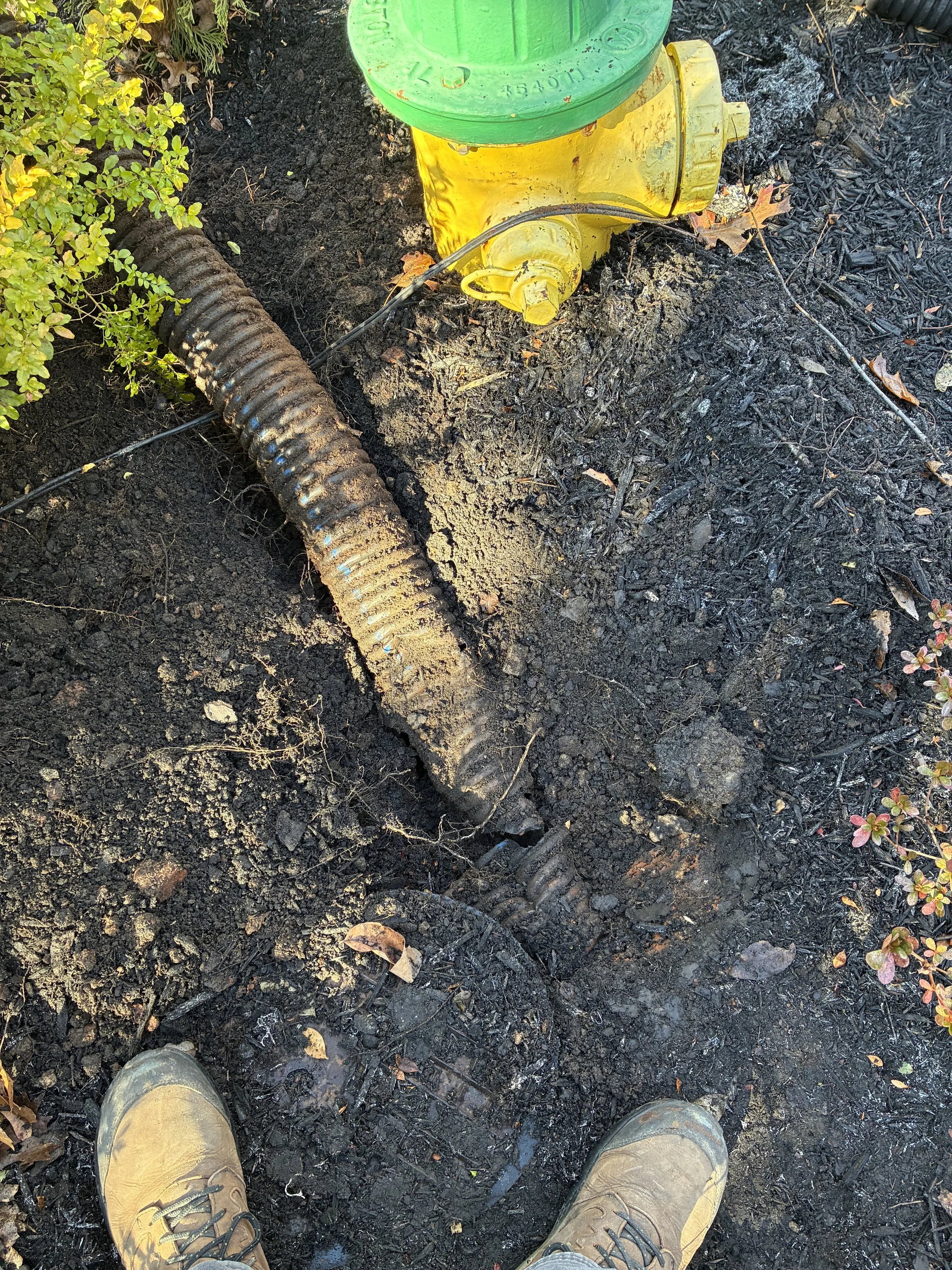 We found a complete break in the corrugated drain line