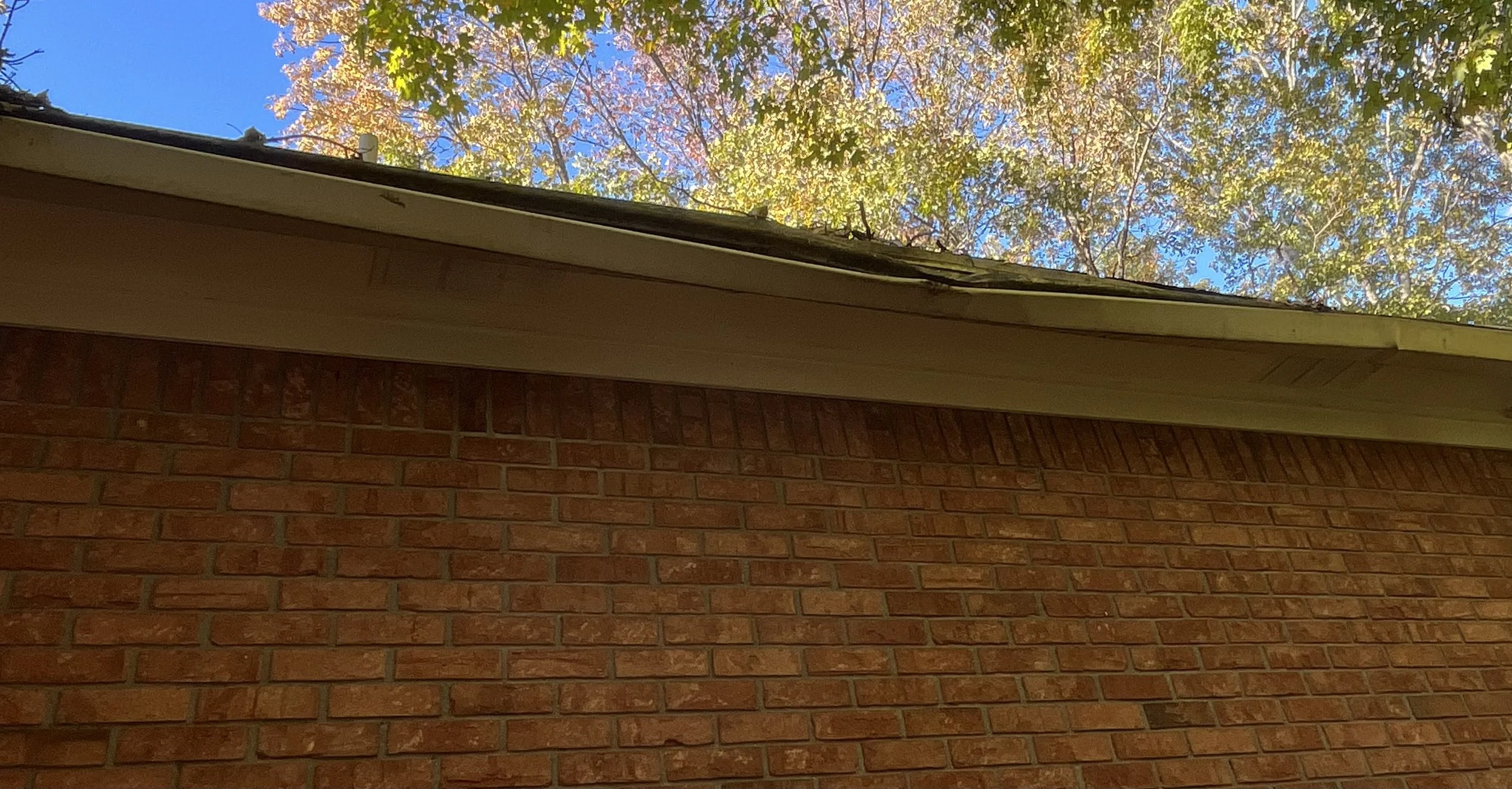 Before: this customer's gutter and gutter guard was damaged by a falling tree branch.