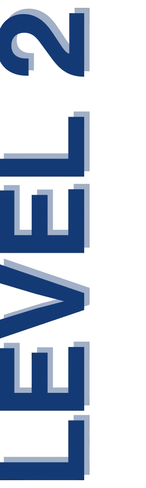 LEVEL 2
