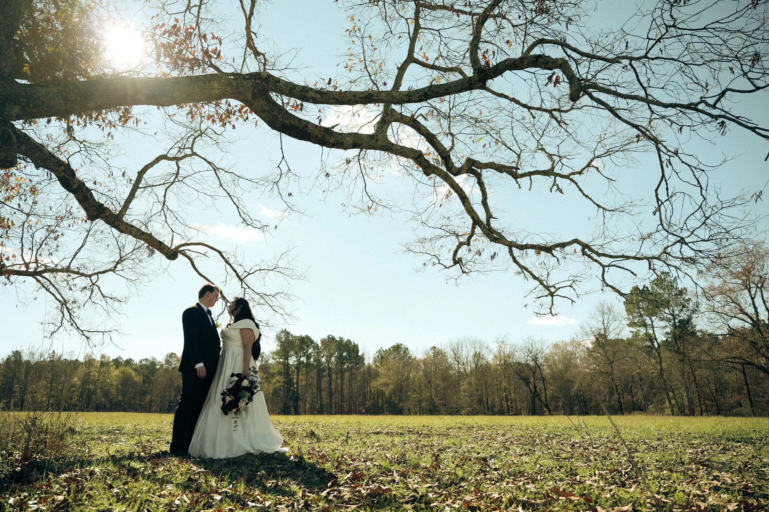 A bride and groom standing close together under a large tree with bare branches, in a field with trees in the background, on a sunny day.