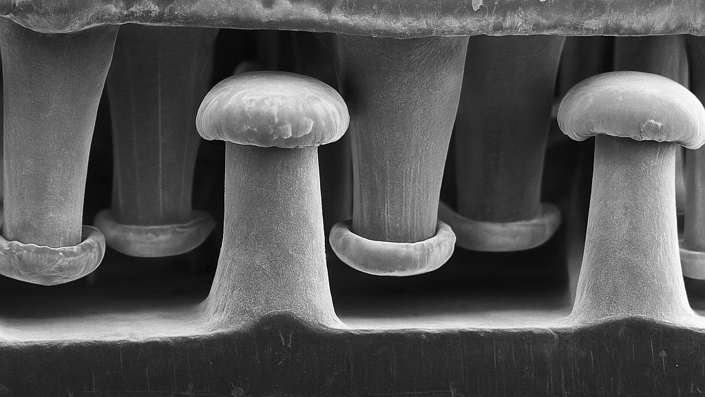 Image shared with permisson from Creative Machine Designs Inc.