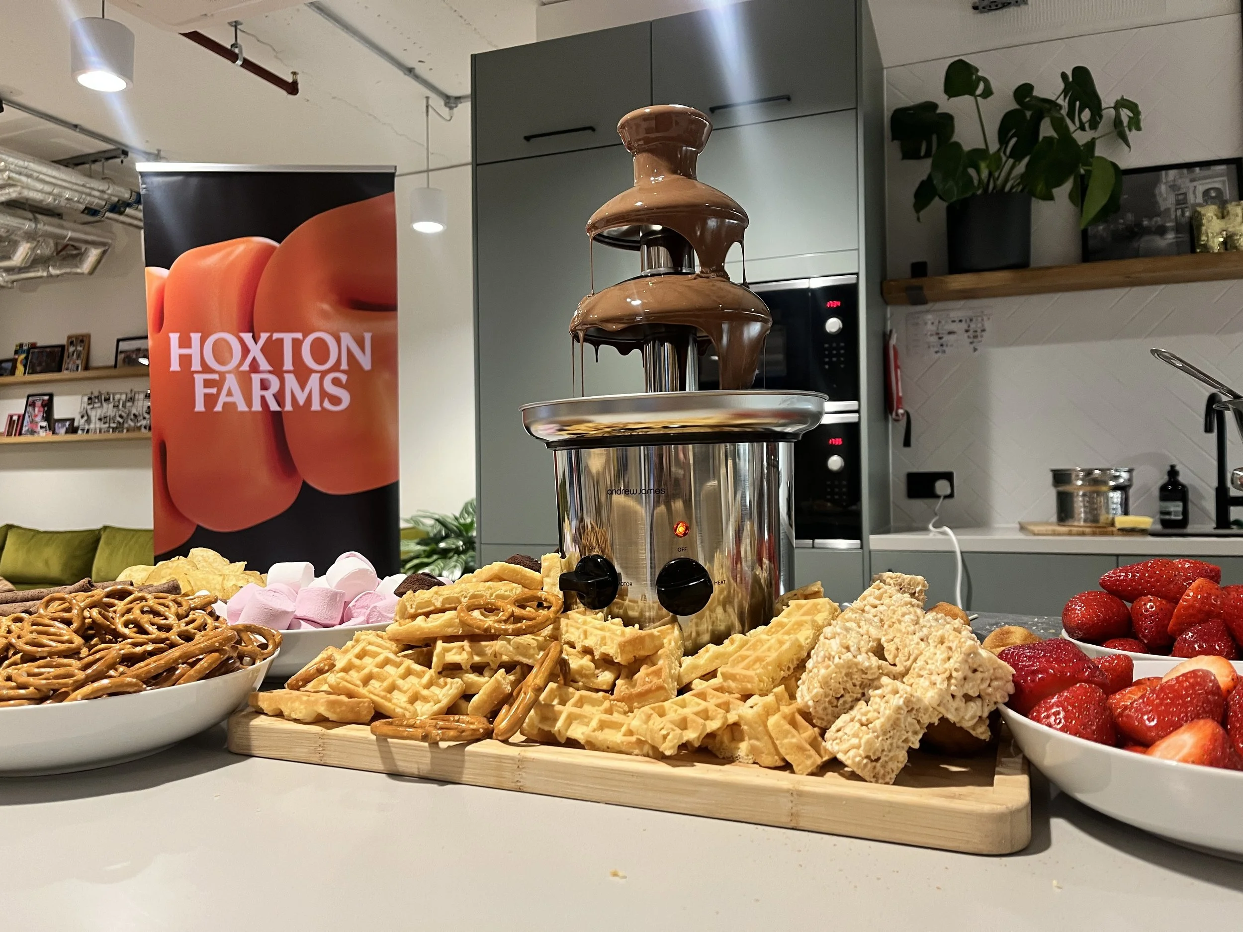 A food display with waffles, strawberries, pretzels, rice cereal treats, and marshmallows, centered around a melting chocolate fountain, with a Hoxton Farms banner in the background.